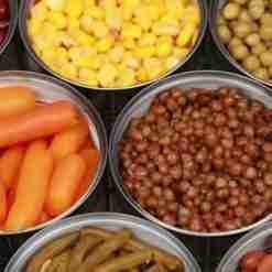 Canned Food Production