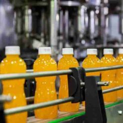 Juice Bottling Line LionMak Top Design Performance Since 1982