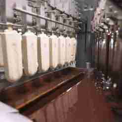 lionmak filling machine production lines34