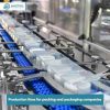 Mozzarella CHEESE Making Top Production Line Machinery Efficient 100Kg – 30000kg per day LIONMAK