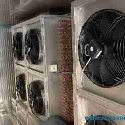 inoxbey iqf processing line individual quick freezing instant quick freezer machine 100 250kg h 12