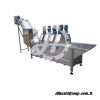 Brush Type Vegetables and Fruits Washing Machine