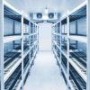 Walk in Cooler Stainless Steel Shelves Storage System 2022