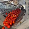 Fruits and Vegetables Tomatoes Washing Machine