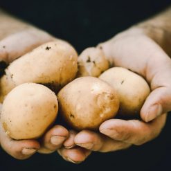 Alhariri Potatoes Products