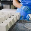 Ricotta Cheese TOP Production Line up to 1000 lt/h NEW