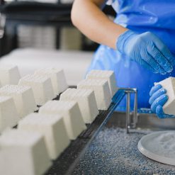 Ricotta Cheese TOP Production Line up to 1000 lt/h NEW