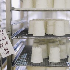 Ricotta Cheese TOP Production Line up to 1000 lt/h NEW