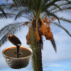 Dates Molasses Production Factory - Turkish Hariri Group